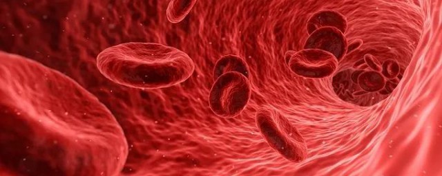 机体的内环境介绍(何谓机体的内环境?)