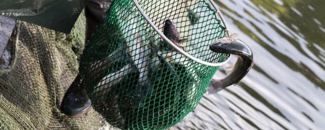 世界四大渔场简介(世界四大渔场的分布位置)