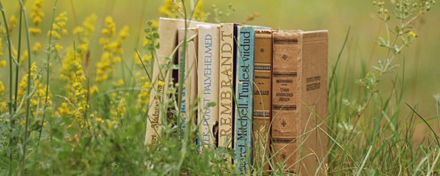 皮之不存毛将焉附的解释(皮之不存毛之焉附是什么意思)