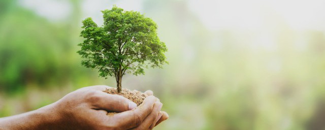 什么东西属于可再生能源(属于可再生资源的能源是什么)