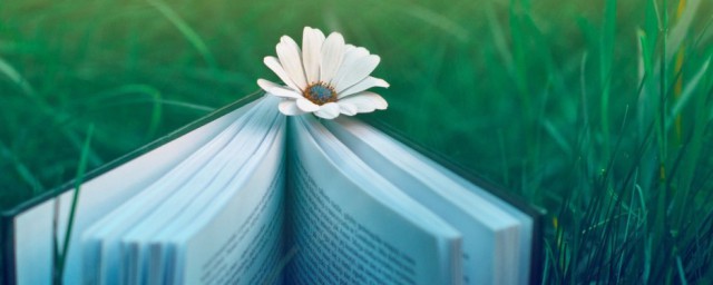 苟利于民不必法古苟周于事不必循旧的解释(苟利于民不必法古苟于苟周于事不必循旧的意思)