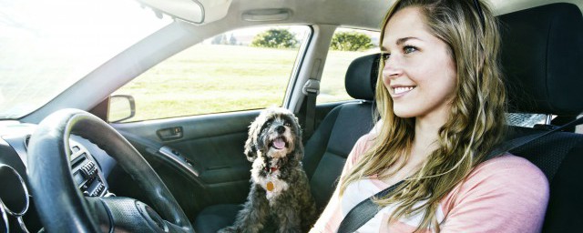 bba品牌介绍(bba的高端品牌都是啥)