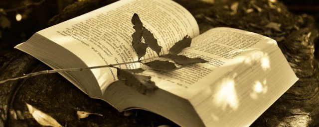 留连忘返解释(流连忘返留连什么意思)