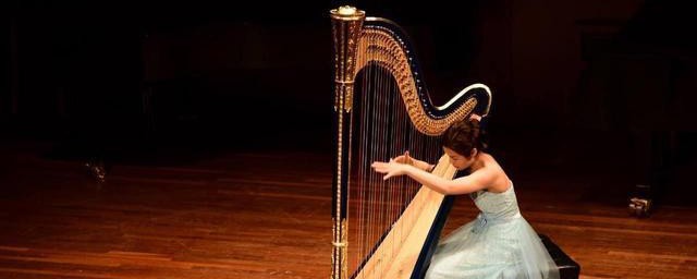 西洋乐器的介绍(乐器大全西洋乐器)