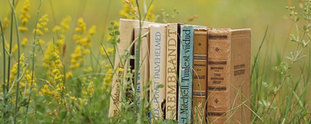 菅读法(菅怎么读音读菅义伟)