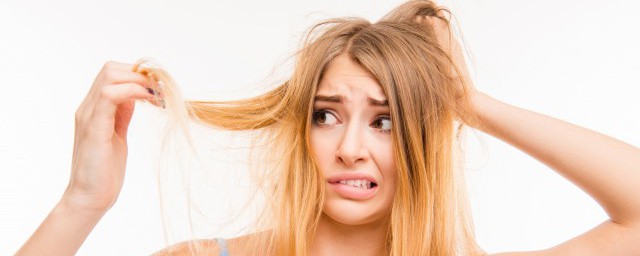 小秃头的意思是什么(秃头小宝贝什么意思?)