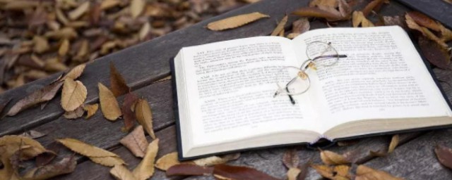 兆帕符号的理解(帕的符号是什么)