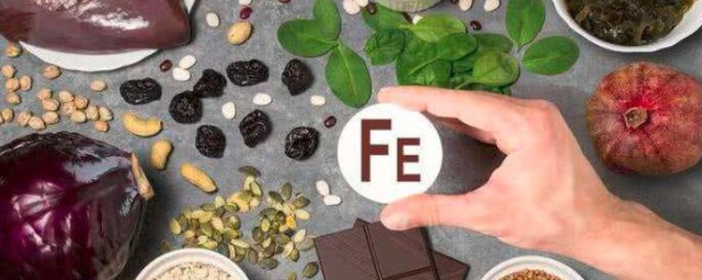 含铁量较丰富的食物介绍(铁含量最丰富的食物)