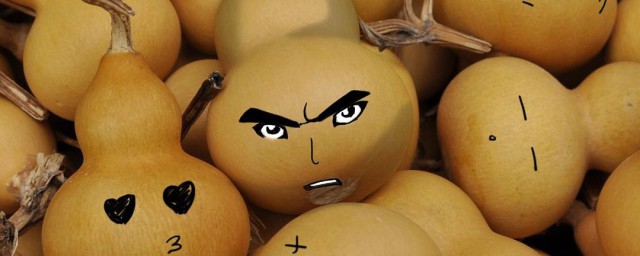 欧豆豆的意思(我愚蠢的欧豆豆哟什么意思)