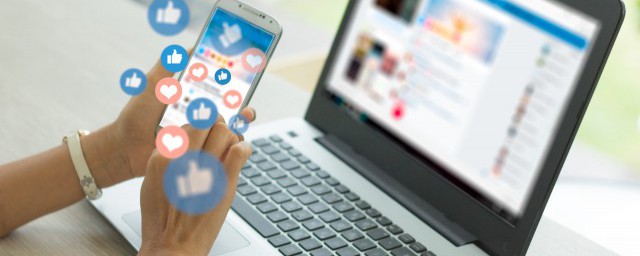 saas的解释(saas是什么概念)