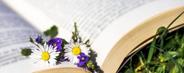 环刀法介绍(环刀法的环刀什么样)