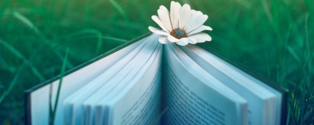 咏柳中的碧玉解释(咏柳中的碧玉是指)