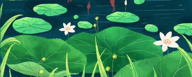 莲叶何田田的何的意思是什么(莲叶何田田的意思是指什么)