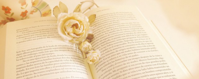 聒噪能不能形容人(怎么形容一个人聒噪)