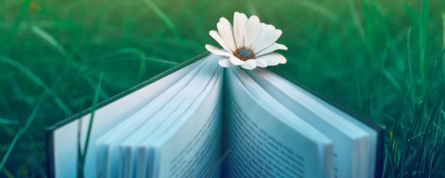 缘故词语的解释(缘故是词语吗)