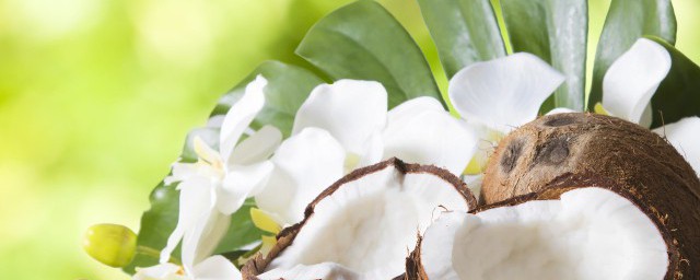 椰青有什么作用(椰青的功效是什么)