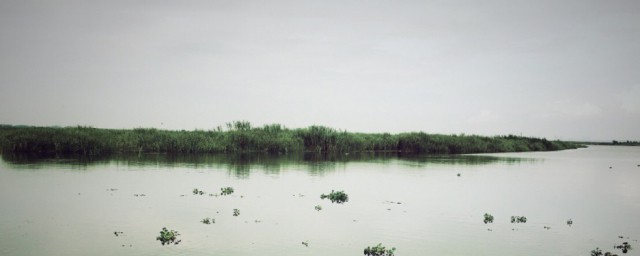 湖光秋月两相和的意思(湖光秋月两相和的意思是什么一)