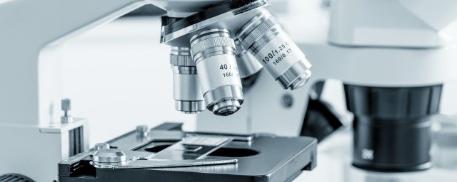 显微镜如何使用(儿童显微镜如何使用)