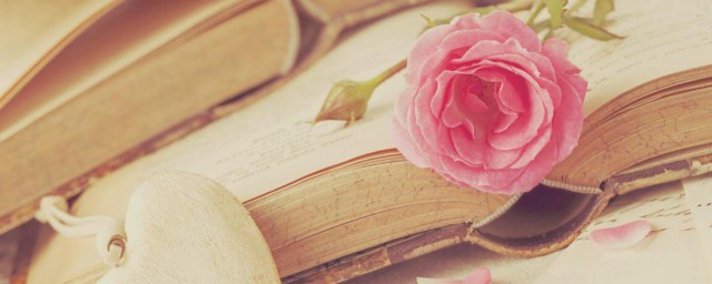 卢钺雪梅这首诗的翻译(卢钺雪梅是一首什么诗)