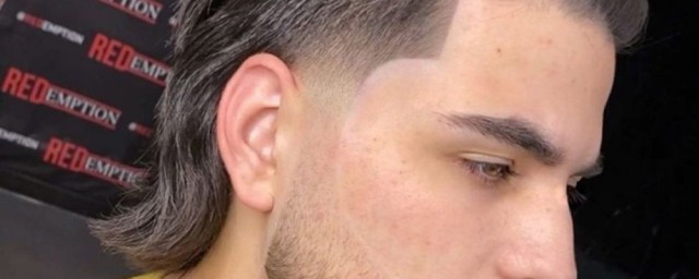 男生后面留尾发型的叫什么(男生后面留尾发型是个尖)