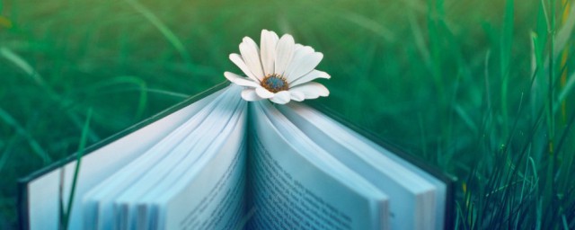 记叙的顺序介绍(记叙文有哪几种顺序)