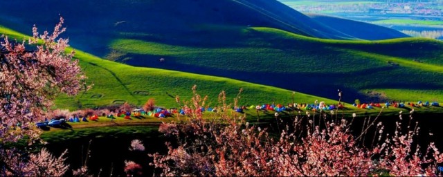 伊犁杏花沟旅游攻略是什么(伊犁杏花沟景区电话)