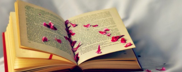 宇的理解(表明“宇”)