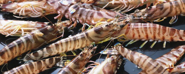 基围虾的壳可不可以吃(基围虾可以连壳一起吃吗)