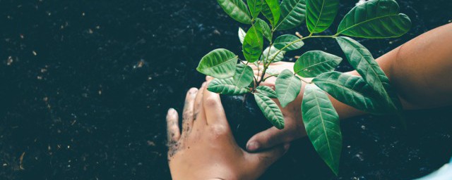 公益广告语举例(写一则相关的公益广告语)