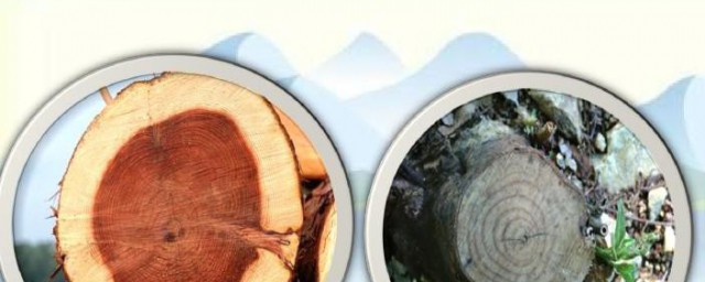 大自然怎么辨别方向(大自然有什么辨别方向的办法)