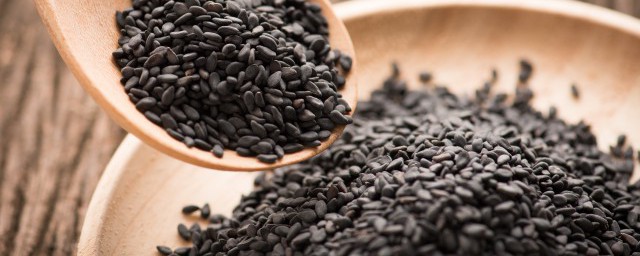 芝麻保存不生虫的方法(白芝麻怎样保存不生虫子)