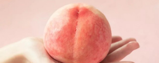 关于桃子的相关知识(桃子的知识点是什么)