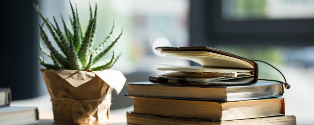 思念如马自别离未停蹄的解释(思念如马未停蹄什么意思)