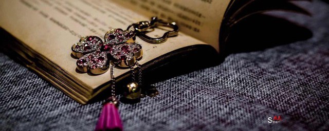 以梦为马不负芳华是什么意思(以梦为马,不负芳华什么意思)