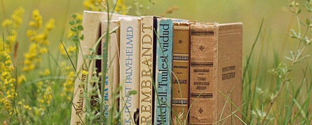 斧正和雅正差别介绍(斧正与雅正区别)