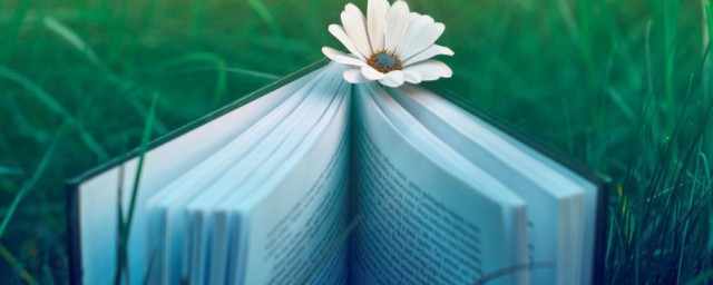 匆课文主要内容(匆匆课文主要意思)