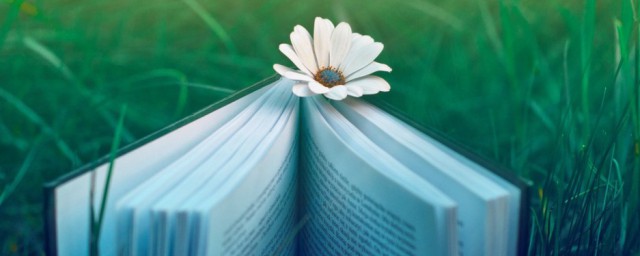 从军行主要内容(从军行主要内容概括)