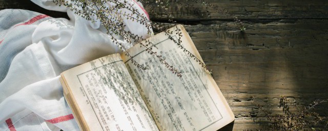 文章的体裁介绍(文章体裁的划分)