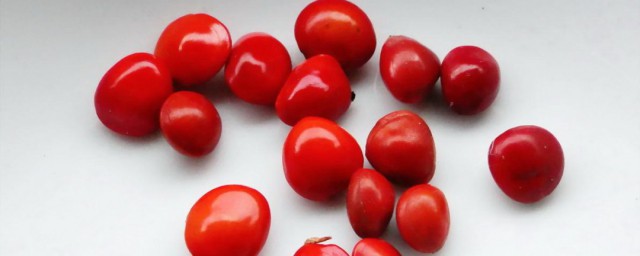 红豆又叫相思豆的原因(红豆又叫相思豆的由来)