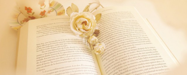 北雁南飞成语解释(什么雁南飞成语)