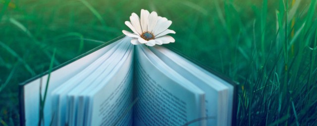 什么名字好听又霸气(女生起什么名字好听又霸气)