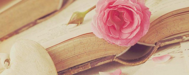 语体的四种类型介绍(语体可以分为两大类:( 语体和书面语体)