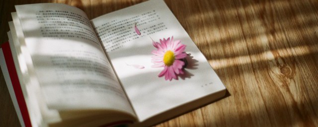 勿以善小而不为的后一句是啥(勿以善小而不为的下句是什么)