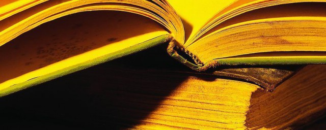 表面积概念介绍(表面积的理解)