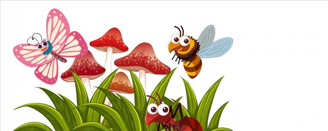 昆虫品种介绍(20种昆虫简介)