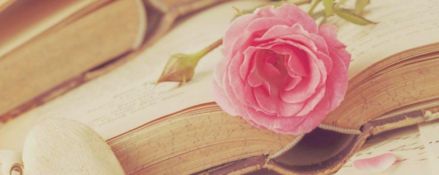 夏至三候解释(夏至三候分别是哪三候)