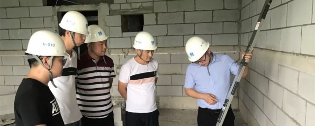 飞检的含义(飞检全称是什么)