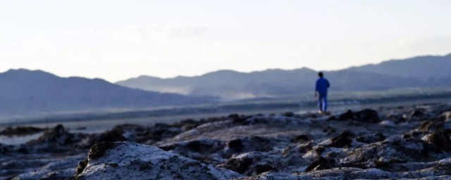 行则将至什么意思 道阻且长 行则将至如何解释