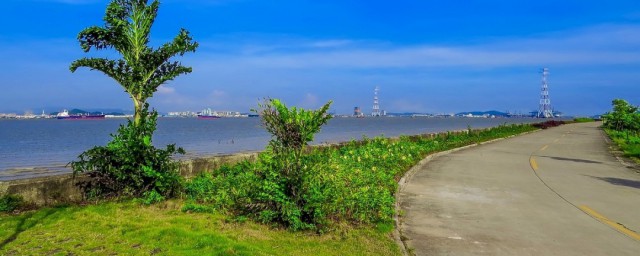 广州海鸥岛攻略是什么(广州海鸥岛自驾游攻略游记)
