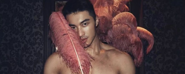 樊野经典语录是什么